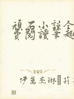 顽石小说全文免费阅读笔趣阁封面