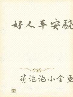 好人平安骁骑校封面