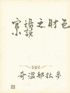 官场之财色诱人小说