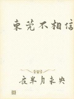 东莞不相信眼泪