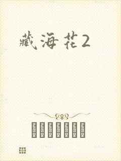 藏海花2