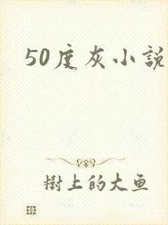 50度灰小说