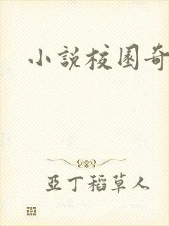 小说校园奇侠