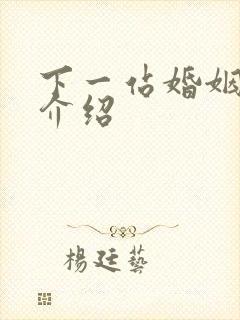 下一站婚姻剧情介绍