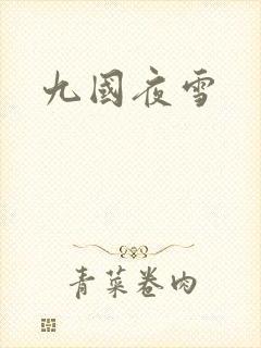 九国夜雪