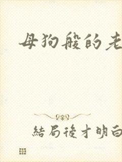 母狗般的老师封面