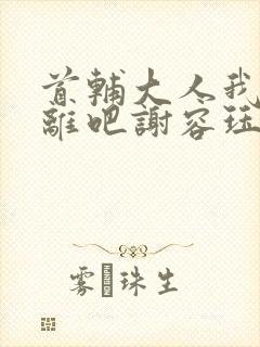 首辅大人我们和离吧谢容珏