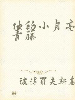 他的小月亮by青藤