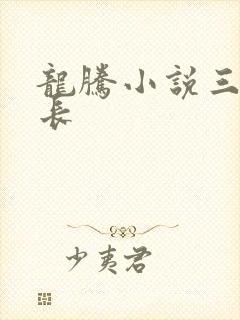 龙腾小说三宝局长封面