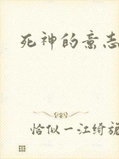 死神的意志封面