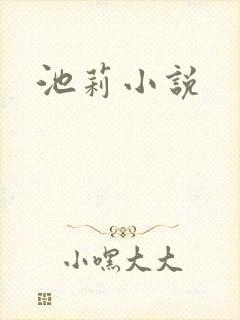 池莉小说