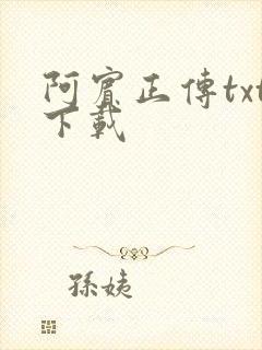 阿宾正传txt下载