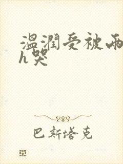 温润受被两个攻h哭封面