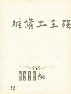 维修工王强张婷