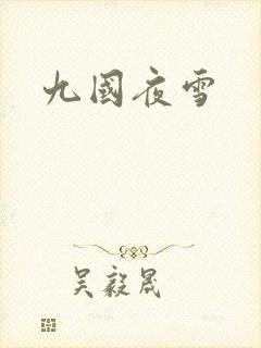 九国夜雪封面