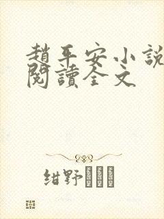 赵平安小说免费阅读全文