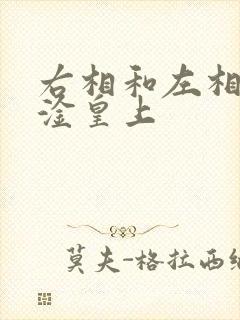 右相和左相一起淦皇上