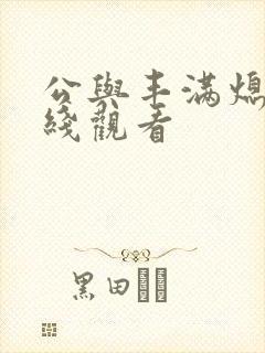 公与丰满熄4在线观看封面