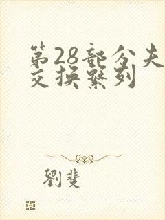 第28部分夫妇交换系列封面