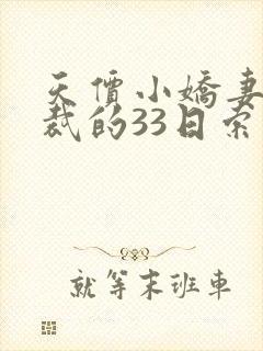 天价小娇妻,总裁的33日索情全文免费