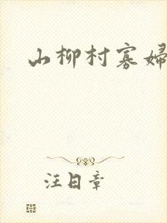 山柳村寡妇情史封面