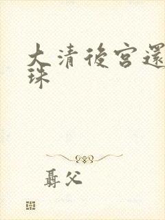 大清后宫还君明珠