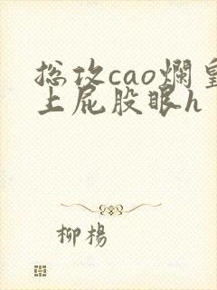 总攻cao烂皇上屁股眼h