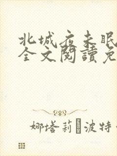 北城夜未眠小说全文阅读免费