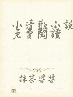 小清欢小说全文免费阅读封面
