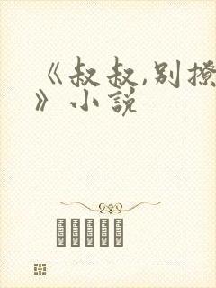 《叔叔,别撩我》小说