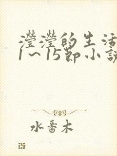 滢滢的生活日记1～15节小说封面