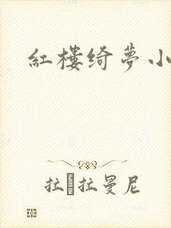 红楼绮梦小说封面