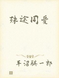 殊途同爱封面