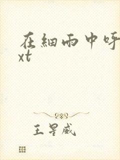 在细雨中呼喊txt