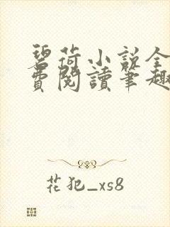 碧荷小说全文免费阅读笔趣阁封面