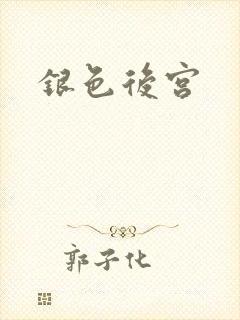 银色后宫
