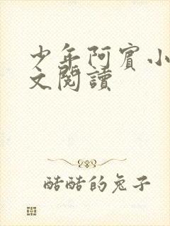 少年阿宾小说全文阅读