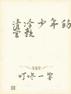 清冷少年的严厉管教