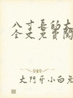 八寸长的大宝贝全文免费阅读封面