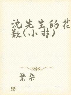 沈先生的花式调数(小非)封面