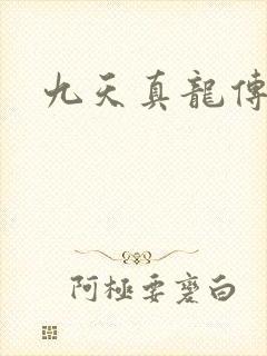 九天真龙传封面
