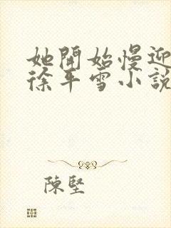 她开始慢迎迎合徐平雪小说封面