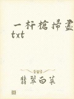 一杆枪扫尽全家txt