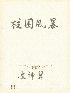 校园风暴