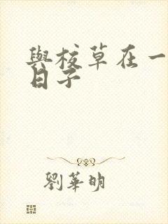 与校草在一起的日子