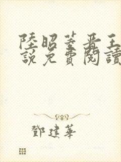 陆昭菱晋王的小说免费阅读