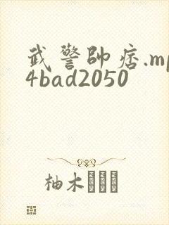 武警帅痞.mp4bad2050