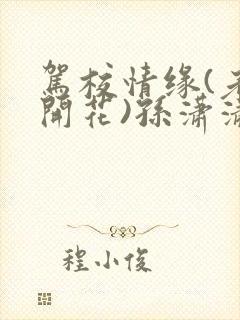 驾校情缘(老树开花)孙潇潇第一次趣笔阁封面