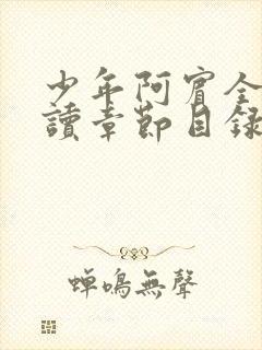 少年阿宾全文阅读章节目录