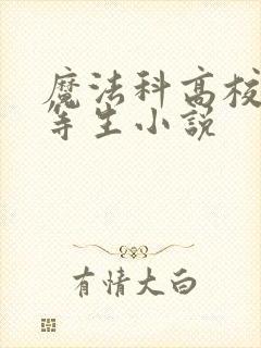 魔法科高校的劣等生小说